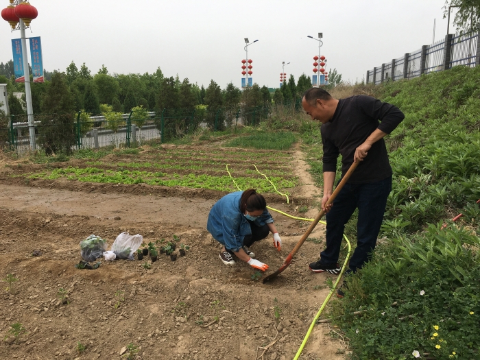小菜园