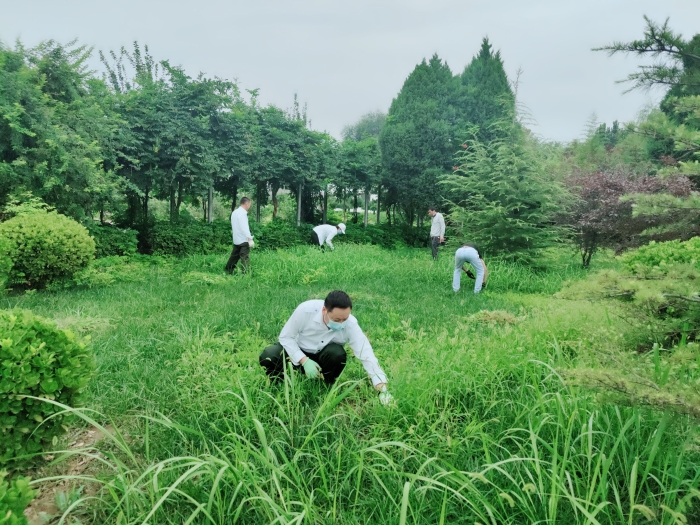 8.12拔草