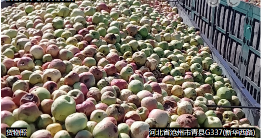 微信图片_20230918112627